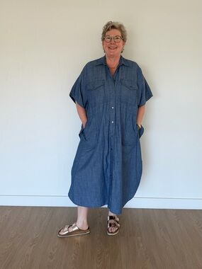 Zenggi Chambray Dress